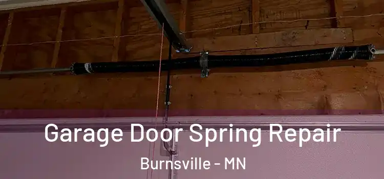  Garage Door Spring Repair Burnsville - MN