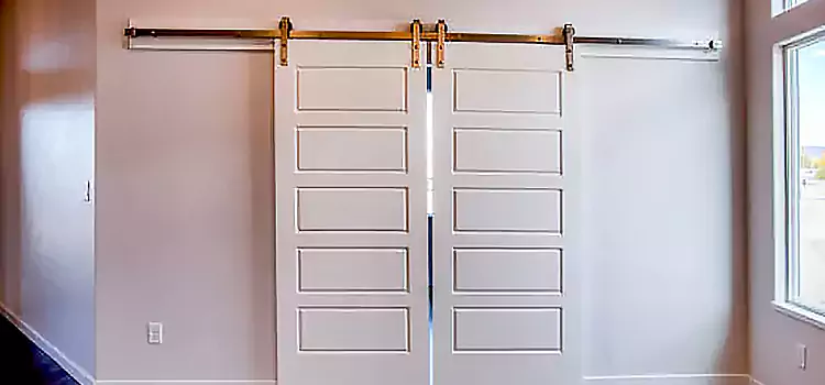 Glass Barn Door with Installation Hardware Kit Burnsville